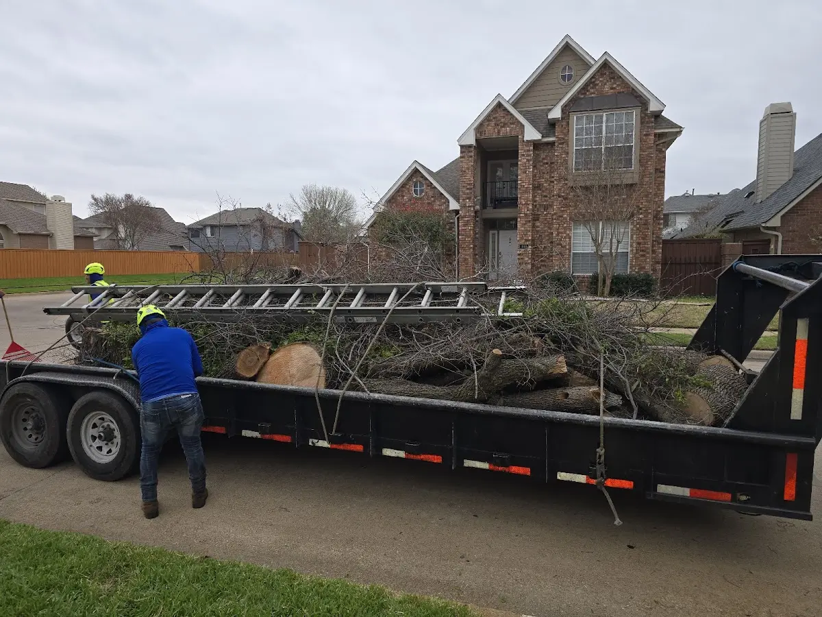 Expert Tree Fertilization with proper safety equipment in Bexar